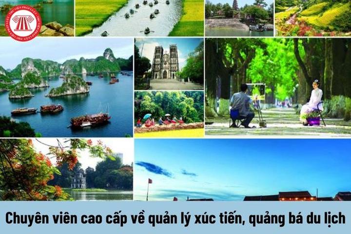 Lan tỏa Yêu Thương, Gắn Kết Cộng Đồng Qua Video Hotspot Matrix