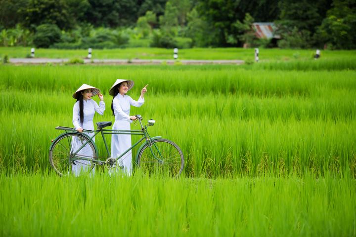 Xu hướng Chấm điểm loạt “green flags”: Hotspot Matrix tiết lộ bí quyết video viral
