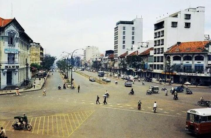 Triệu View Từ Vlog Thú Cưng: Bí Quyết Thành Công Cùng Hotspot Matrix